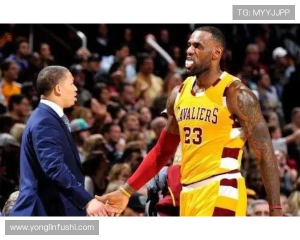 麦迪逊生涯个人表现与团队成绩评估